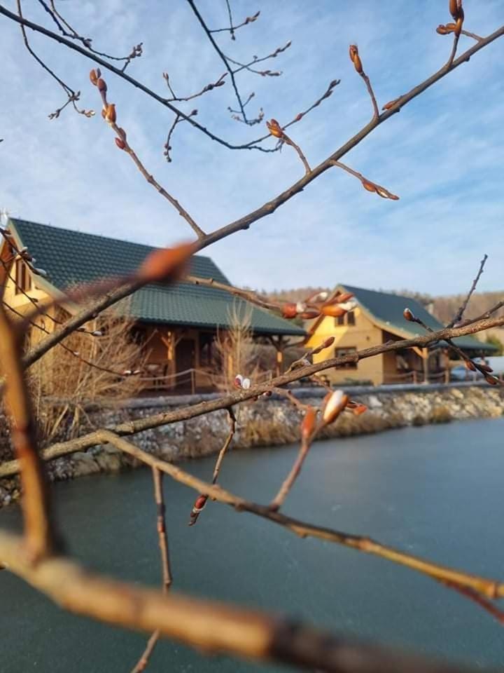Domki Gorska Zatoka Stronie Śląskie Esterno foto